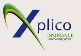 pli6.jpg